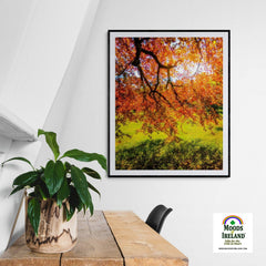 Print - Under the Autograph Tree at Coole Park, County Galway - James A. Truett - Moods of Ireland - Irish Art