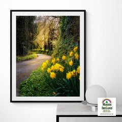 Print - Irish Spring Country Road, County Clare - James A. Truett - Moods of Ireland - Irish Art