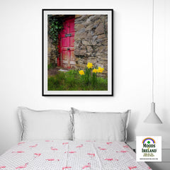 Print - Daffodils Outside Irish Cottage, Kilrush, County Clare - James A. Truett - Moods of Ireland - Irish Art