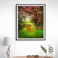 Print - Bench under Cherry Blossoms, Quin, County Clare - James A. Truett - Moods of Ireland - Irish Art