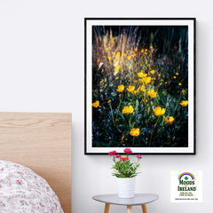 Print - Buttercups in the Irish Countryside - James A. Truett - Moods of Ireland - Irish Art