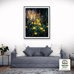 Print - Buttercups in the Irish Countryside - James A. Truett - Moods of Ireland - Irish Art