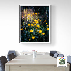 Print - Buttercups in the Irish Countryside - James A. Truett - Moods of Ireland - Irish Art