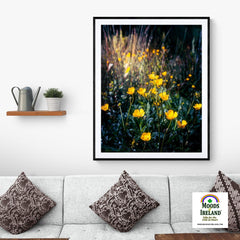 Print - Buttercups in the Irish Countryside - James A. Truett - Moods of Ireland - Irish Art