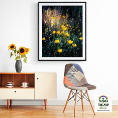Print - Buttercups in the Irish Countryside - James A. Truett - Moods of Ireland - Irish Art