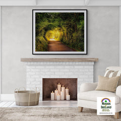 Print - Green Tunnel in Lavalla, County Clare - James A. Truett - Moods of Ireland - Irish Art
