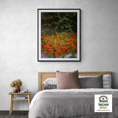 Print - Irish Montbretia and Fuchsias, County Clare - James A. Truett - Moods of Ireland - Irish Art