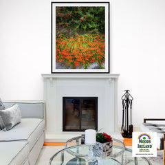 Print - Irish Montbretia and Fuchsias, County Clare - James A. Truett - Moods of Ireland - Irish Art