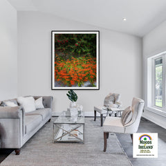 Print - Irish Montbretia and Fuchsias, County Clare - James A. Truett - Moods of Ireland - Irish Art