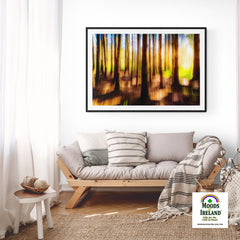 Print - Sun through the Woods Abstract, County Clare - James A. Truett - Moods of Ireland - Irish Art