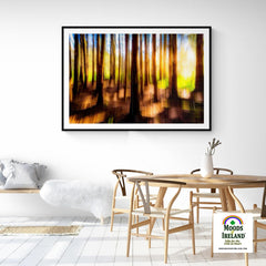 Print - Sun through the Woods Abstract, County Clare - James A. Truett - Moods of Ireland - Irish Art