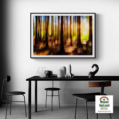 Print - Sun through the Woods Abstract, County Clare - James A. Truett - Moods of Ireland - Irish Art