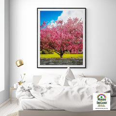 Print - Cherry Blossom Explosion, Ennis, County Clare - James A. Truett - Moods of Ireland - Irish Art
