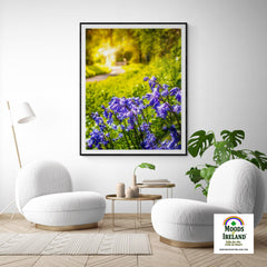 Print - Irish Bluebells in Spring Sun, County Clare - James A. Truett - Moods of Ireland - Irish Art