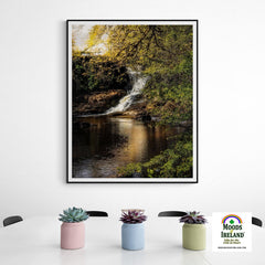 Print - Tranquil Bluebell Falls at Clondegad, County Clare - James A. Truett - Moods of Ireland - Irish Art