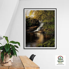 Print - Tranquil Bluebell Falls at Clondegad, County Clare - James A. Truett - Moods of Ireland - Irish Art