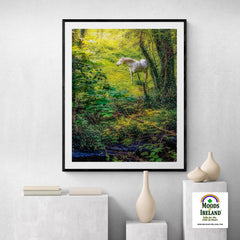 Print - White Horse in 40 Shades of Green, County Clare - James A. Truett - Moods of Ireland - Irish Art