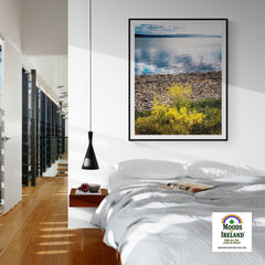 Print - Yellow Flowers on Shannon Estuary Shores, County Clare - James A. Truett - Moods of Ireland - Irish Art