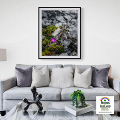 Print - Lone Wildflower in the Burren Limestone - James A. Truett - Moods of Ireland - Irish Art