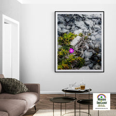 Print - Lone Wildflower in the Burren Limestone - James A. Truett - Moods of Ireland - Irish Art