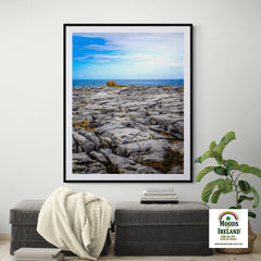 Print - Rocky Burren Coast of County Clare - James A. Truett - Moods of Ireland - Irish Art