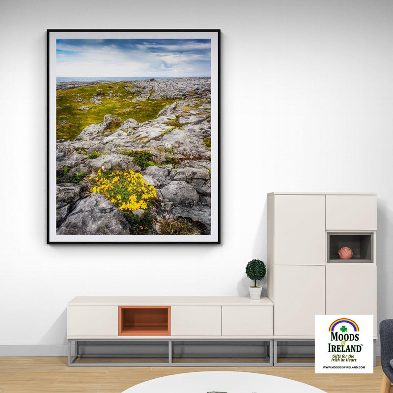 Print - Gorse in the Rugged Burren Limestone