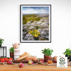 Print - Gorse in the Rugged Burren Limestone