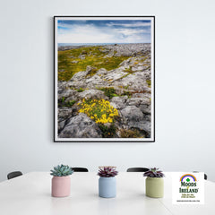 Print - Gorse in the Rugged Burren Limestone