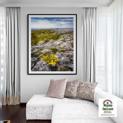 Print - Gorse in the Rugged Burren Limestone