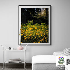 Print - Merry Meadow of Buttercups, County Clare - James A. Truett - Moods of Ireland - Irish Art