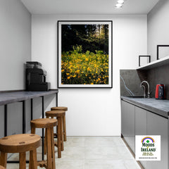 Print - Merry Meadow of Buttercups, County Clare - James A. Truett - Moods of Ireland - Irish Art