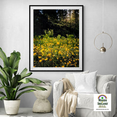 Print - Merry Meadow of Buttercups, County Clare - James A. Truett - Moods of Ireland - Irish Art