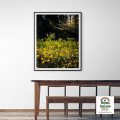 Print - Merry Meadow of Buttercups, County Clare - James A. Truett - Moods of Ireland - Irish Art