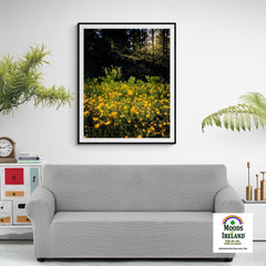 Print - Merry Meadow of Buttercups, County Clare - James A. Truett - Moods of Ireland - Irish Art