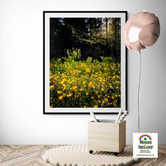 Print - Merry Meadow of Buttercups, County Clare - James A. Truett - Moods of Ireland - Irish Art