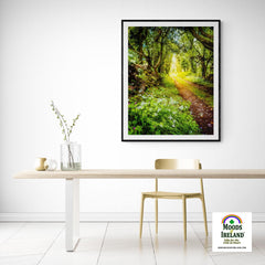 Print - County Clare path lined with Wild Garlic and Wildflowers - James A. Truett - Moods of Ireland - Irish Art