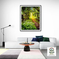 Print - County Clare path lined with Wild Garlic and Wildflowers - James A. Truett - Moods of Ireland - Irish Art