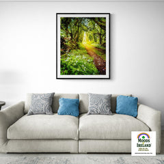 Print - County Clare path lined with Wild Garlic and Wildflowers - James A. Truett - Moods of Ireland - Irish Art