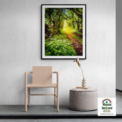 Print - County Clare path lined with Wild Garlic and Wildflowers - James A. Truett - Moods of Ireland - Irish Art