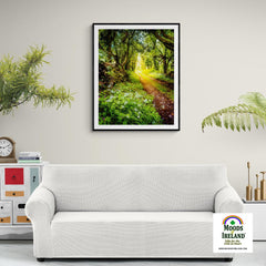 Print - County Clare path lined with Wild Garlic and Wildflowers - James A. Truett - Moods of Ireland - Irish Art