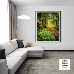 Print - County Clare path lined with Wild Garlic and Wildflowers - James A. Truett - Moods of Ireland - Irish Art