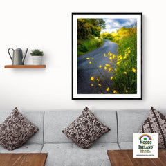 Print - Buttercups on the Road to Lavalla, County Clare - James A. Truett - Moods of Ireland - Irish Art