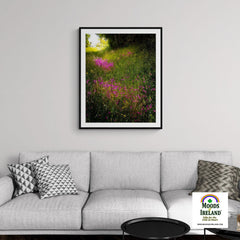 Print - Roadside Wildflowers in County Clare, Ireland - James A. Truett - Moods of Ireland - Irish Art