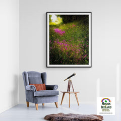 Print - Roadside Wildflowers in County Clare, Ireland - James A. Truett - Moods of Ireland - Irish Art
