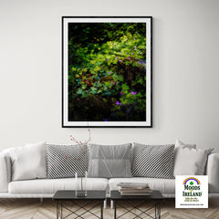 Print - A Carpet of Herb Robert Wildflowers, Ballylee, County Galway - James A. Truett - Moods of Ireland - Irish Art