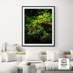 Print - A Carpet of Herb Robert Wildflowers, Ballylee, County Galway - James A. Truett - Moods of Ireland - Irish Art