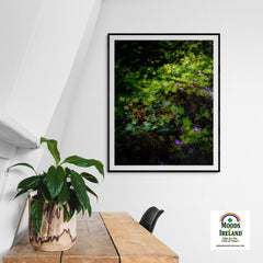 Print - A Carpet of Herb Robert Wildflowers, Ballylee, County Galway - James A. Truett - Moods of Ireland - Irish Art