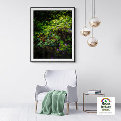 Print - A Carpet of Herb Robert Wildflowers, Ballylee, County Galway - James A. Truett - Moods of Ireland - Irish Art