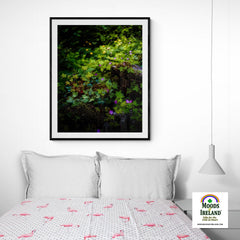 Print - A Carpet of Herb Robert Wildflowers, Ballylee, County Galway - James A. Truett - Moods of Ireland - Irish Art