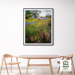 Print - Summer Wildflowers near Kildysart, County Clare - James A. Truett - Moods of Ireland - Irish Art